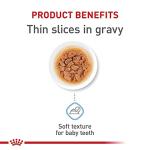 Royal Canin X-Small Puppy Thin Slices in Gravy