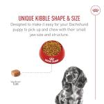 Royal Canin Dachshund Puppy Dry Dog Food 2.5 lb