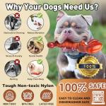 Indestructible Squeaky Dog Toys for Aggressive Chewers