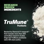 Bully Max High Protein Puppy Food - 5 lb