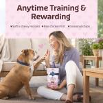 Blue Buffalo Soft Chewy Chicken Dog Treats 4.5oz