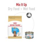 Royal Canin Dachshund Puppy Dry Dog Food 2.5 lb