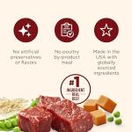 Rachael Ray Nutrish Beef & Pumpkin Wet Dog Food