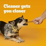 Pedigree Dentastix Chicken Treats for Dogs