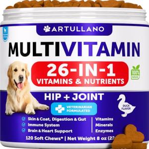 Dog Multivitamin Chews with Glucosamine - 120 Count