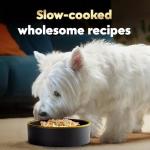 Cesar Wholesome Bowls Chicken & Veggies Dog Food