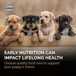 Diamond Puppy Dry Dog Food 31/20, 40lb Bag