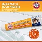 Arm & Hammer Chicken Flavor Dog Toothpaste, 6.2oz