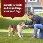 Rachael Ray Nutrish Beef & Pumpkin Wet Dog Food