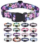 Trendy Floral Dog Collar with Quick Release Buckle