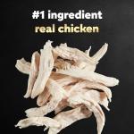 Cesar Wholesome Bowls Chicken & Veggies Dog Food