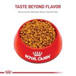 Royal Canin Dachshund Puppy Dry Dog Food 2.5 lb