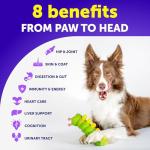 Dog Multivitamin Chews with Glucosamine - 120 Count