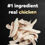 Cesar Wholesome Bowls Chicken Variety Pack for Dogs