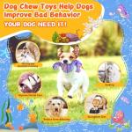 Durable Squeaky Dog Chew Toys for Aggressive Chewers