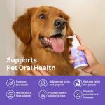Vet-Recommended Dog Dental Care Breath Spray
