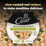 Cesar Wholesome Bowls Chicken & Veggies Dog Food