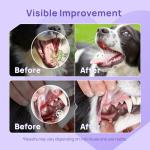 Vet-Recommended Dog Dental Care Breath Spray