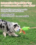 Bungee Tug Toy for Dogs with Squeaky Sound