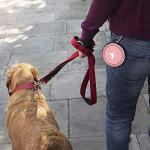 Collapsible Travel Dog Bowls - 2 Pack