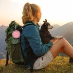 SLSON Collapsible Dual Dog Bowls with Lock Clips