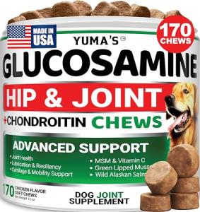 YUMA's Glucosamine Chews for Dog Joint Health