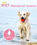 Waterproof Rechargeable Dog Training Shock Collar