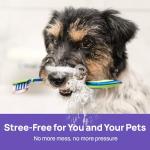 Vet-Recommended Dog Dental Care Breath Spray