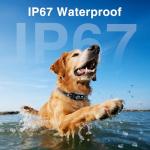 2-Pack Rechargeable Dog Bark Collars with Training Options