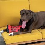 Outward Hound Large Firehose Fetch Dog Toy