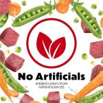 Purina Beneful Originals Dry Dog Food with Beef