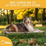 Daisy Cot Portable Elevated Dog Bed - Medium