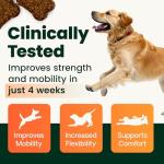VetriScience Hip & Joint Chews for Dogs, 120 Ct