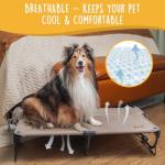 Daisy Cot Portable Elevated Dog Bed - Medium