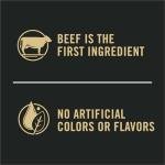 Purina Pro Plan Beef and Rice Dog Food 5 lb