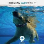 Vebiso GPS Tracker for Dogs and Cats