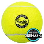 Franklin Pet Supply FETCH-IT Tennis Ball Launcher
