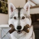 Lumabone Durable Bacon Chew Toys for Aggressive Dogs
