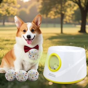 Automatic Dog Ball Launcher for Small Dogs