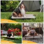 Daisy Cot Portable Elevated Dog Bed - Medium