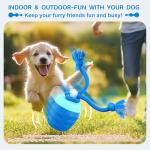 Interactive Automatic Dog Ball for Medium/Large Dogs