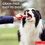 Stella & Chewy's Freeze-Dried Lamb Dog Treats