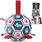 QDAN Premium Dog Training Soccer Ball Toy