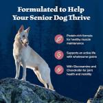 Blue Buffalo Wilderness High-Protein Senior Dog Food