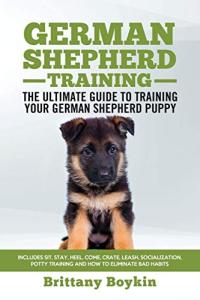 German Shepherd Training Guide for Puppies