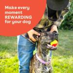 Freeze Dried Chicken Treats for Dogs & Puppies