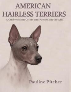 American Hairless Terriers: Colors and Patterns Guide