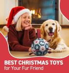 QDAN Premium Dog Training Soccer Ball Toy