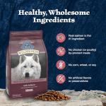 Blue Buffalo Wilderness High-Protein Senior Dog Food