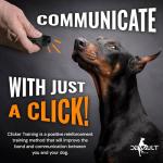 Devault Gear Black Dog Clicker with Necklace